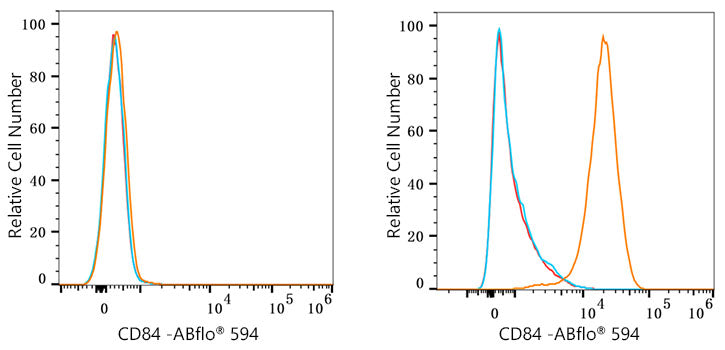 ABflo® 594 Rabbit anti-Human CD84 mAb