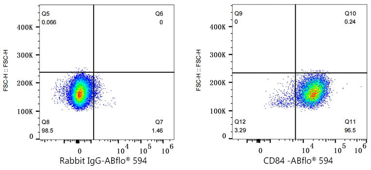 ABflo® 594 Rabbit anti-Human CD84 mAb