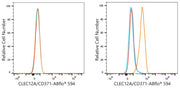 ABflo® 594 Rabbit anti-Human CLEC12A/CD371 mAb