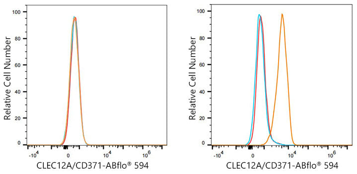 ABflo® 594 Rabbit anti-Human CLEC12A/CD371 mAb