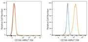 ABflo® 594 Rabbit anti-Human CD166/ALCAM mAb