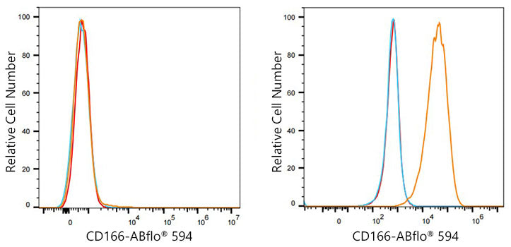 ABflo® 594 Rabbit anti-Human CD166/ALCAM mAb
