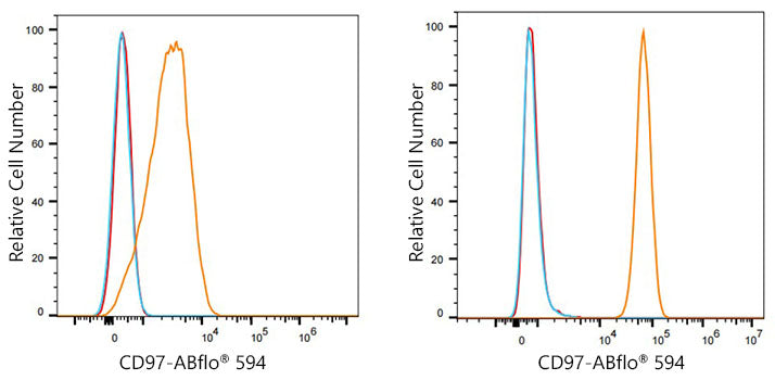 ABflo® 594 Rabbit anti-Human CD97 mAb