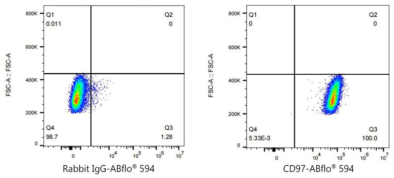 ABflo® 594 Rabbit anti-Human CD97 mAb