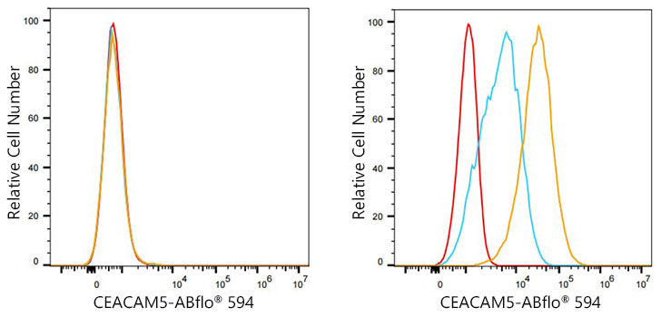 ABflo® 594 Rabbit anti-Human CEACAM5/CD66e mAb