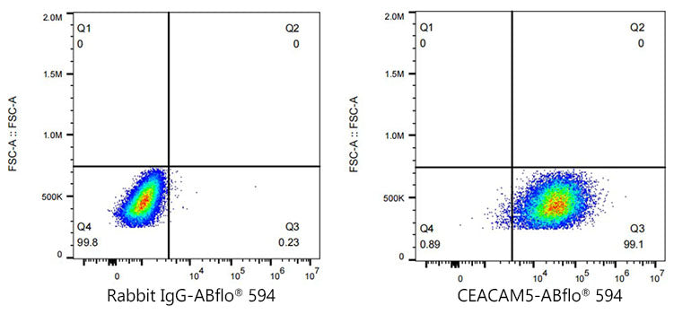 ABflo® 594 Rabbit anti-Human CEACAM5/CD66e mAb
