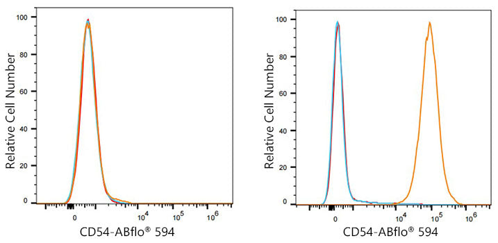 ABflo® 594 Rabbit anti-Human ICAM-1/CD54 mAb