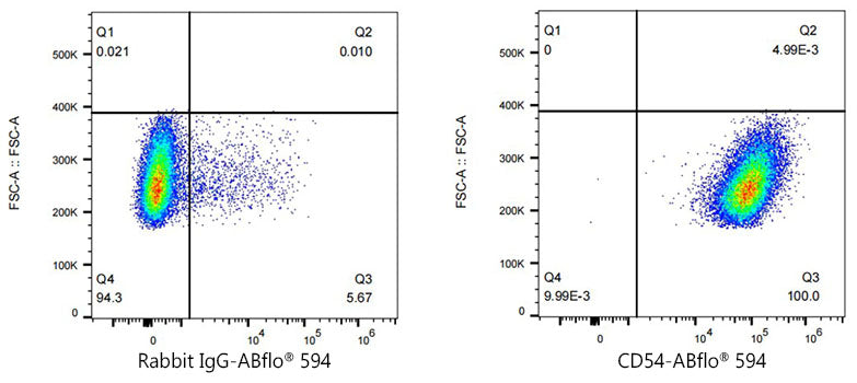ABflo® 594 Rabbit anti-Human ICAM-1/CD54 mAb