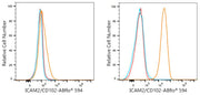 ABflo® 594 Rabbit anti-Human ICAM2/CD102 mAb