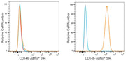 ABflo® 594 Rabbit anti-Human CD146 mAb