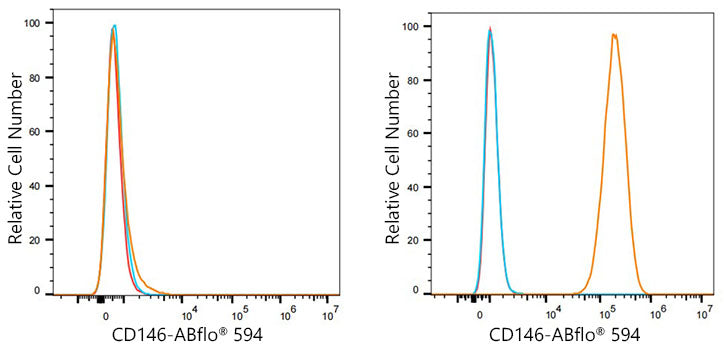 ABflo® 594 Rabbit anti-Human CD146 mAb