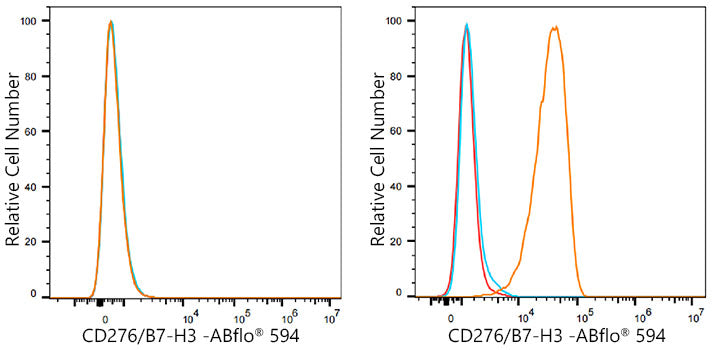ABflo® 594 Rabbit anti-Human/Mouse CD276/B7-H3 mAb