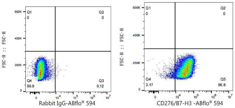 ABflo® 594 Rabbit anti-Human/Mouse CD276/B7-H3 mAb