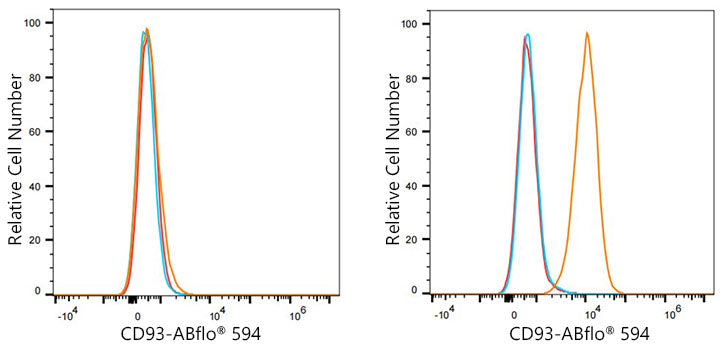 ABflo® 594 Rabbit anti-Human CD93 mAb