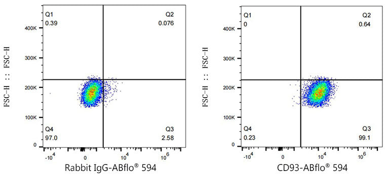 ABflo® 594 Rabbit anti-Human CD93 mAb