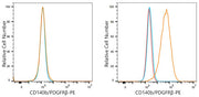 PE Rabbit anti-Human CD140b/PDGFRβ mAb