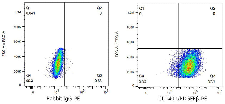 PE Rabbit anti-Human CD140b/PDGFRβ mAb
