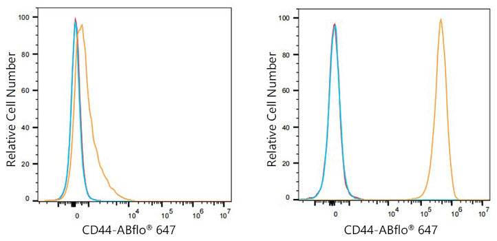 CD44 Rabbit mAb