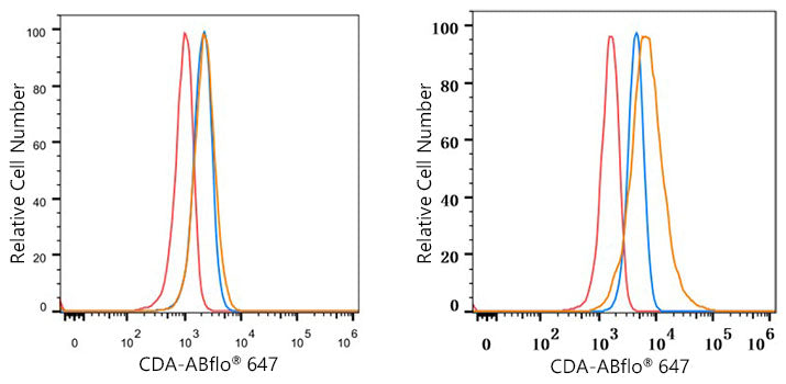 CDA Rabbit mAb