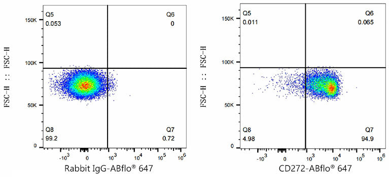 CD272/BTLA Rabbit mAb