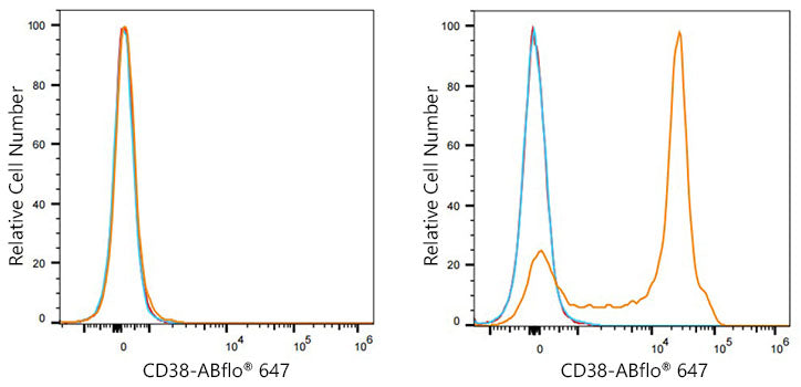 ABflo® 647 Rabbit anti-Mouse CD38 mAb