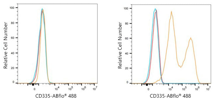 ABflo® 488 Rabbit anti-Human CD335/NKp46 mAb