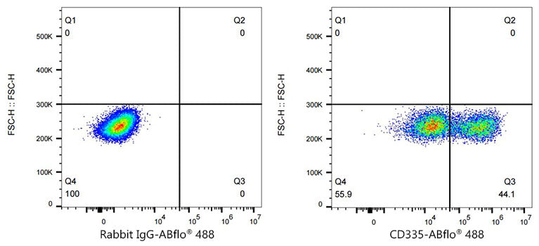 ABflo® 488 Rabbit anti-Human CD335/NKp46 mAb