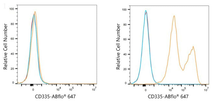 ABflo® 647 Rabbit anti-Human CD335/NKp46 mAb