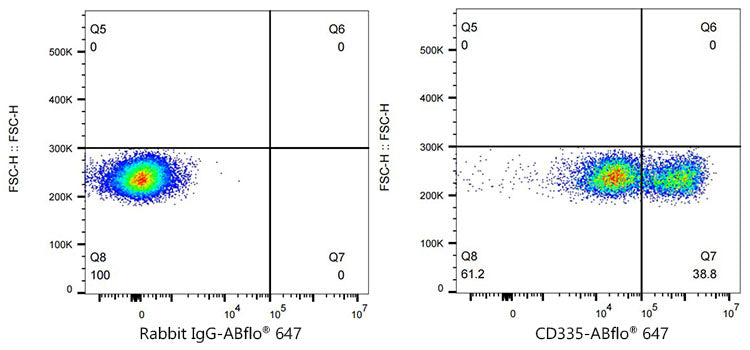 ABflo® 647 Rabbit anti-Human CD335/NKp46 mAb