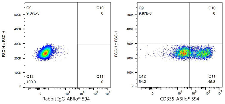 ABflo® 594 Rabbit anti-Human CD335/NKp46 mAb