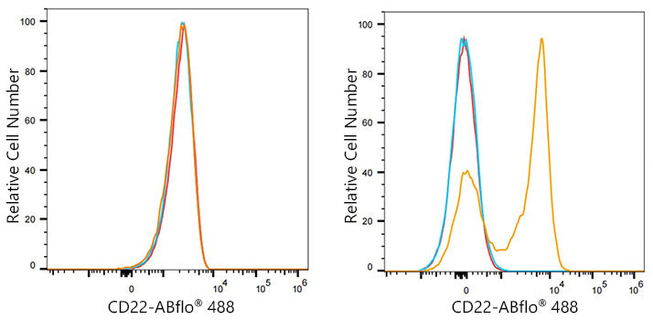 ABflo® 488 Rabbit anti-Mouse CD22 mAb