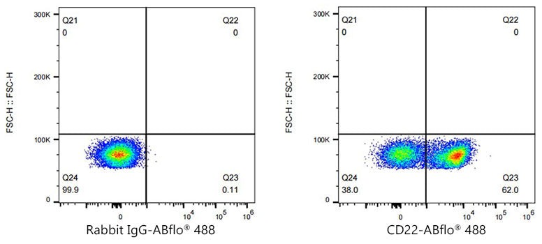 ABflo® 488 Rabbit anti-Mouse CD22 mAb