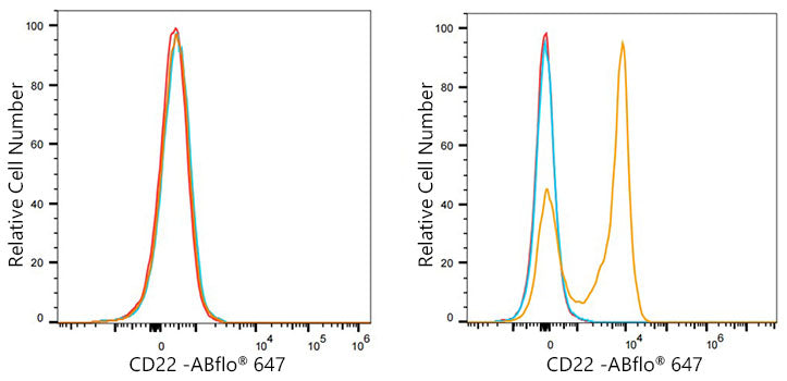 ABflo® 647 Rabbit anti-Mouse CD22 mAb