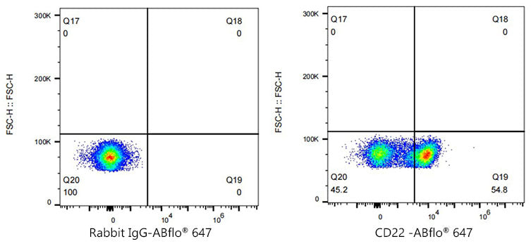 ABflo® 647 Rabbit anti-Mouse CD22 mAb