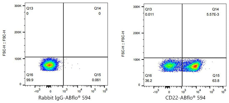 ABflo® 594 Rabbit anti-Mouse CD22 mAb