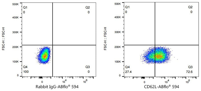 ABflo® 594 Rabbit anti-Human CD62L/L-Selectin mAb