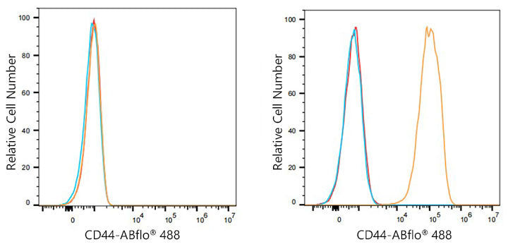 ABflo® 488 Rabbit anti-Mouse CD44 mAb