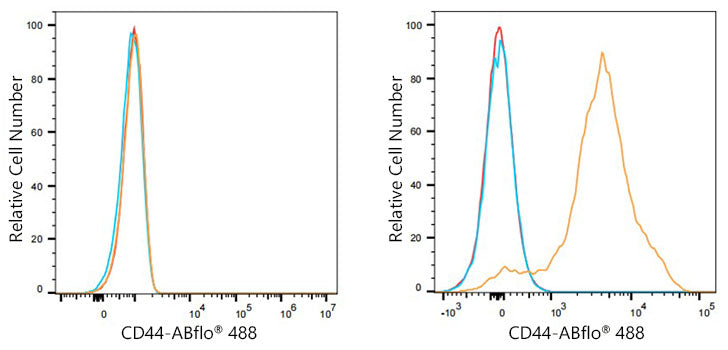 ABflo® 488 Rabbit anti-Mouse CD44 mAb