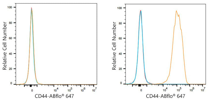 ABflo® 647 Rabbit anti-Mouse CD44 mAb