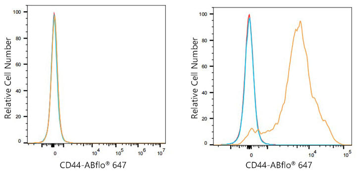ABflo® 647 Rabbit anti-Mouse CD44 mAb