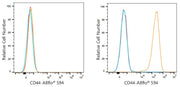 ABflo® 594 Rabbit anti-Mouse CD44 mAb