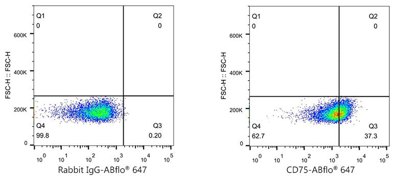 ST6GAL1/CD75 Rabbit mAb