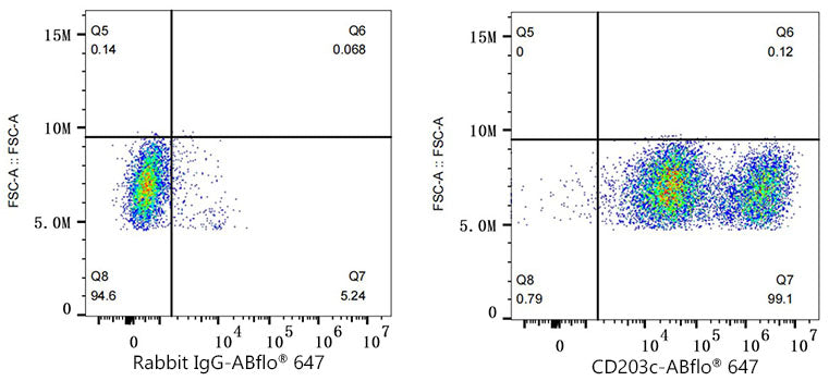 ENPP3/CD203c Rabbit mAb
