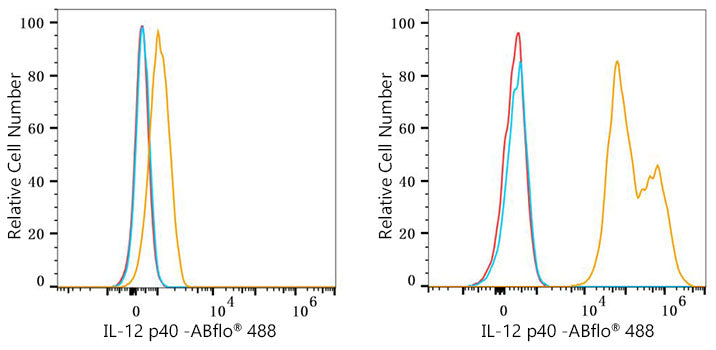ABflo® 488 Rabbit anti-Mouse IL-12 p40 mAb
