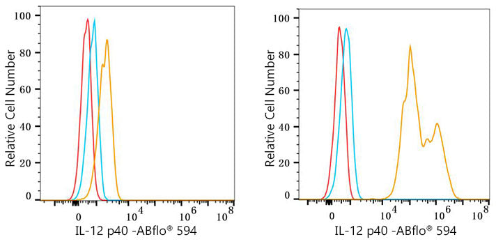 ABflo® 594 Rabbit anti-Mouse IL-12 p40 mAb