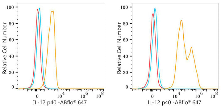 ABflo® 647 Rabbit anti-Mouse IL-12 p40 mAb