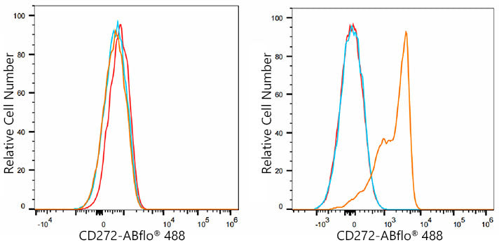 ABflo® 488 Rabbit anti-Mouse CD272/BTLA mAb