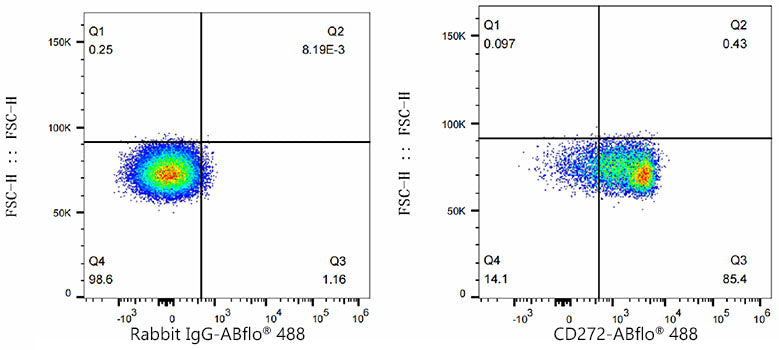 ABflo® 488 Rabbit anti-Mouse CD272/BTLA mAb