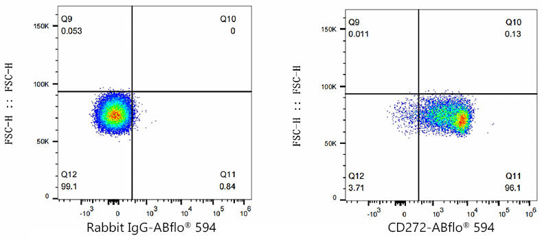 ABflo® 594 Rabbit anti-Mouse CD272/BTLA mAb