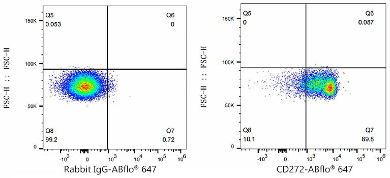 ABflo® 647 Rabbit anti-Mouse CD272/BTLA mAb